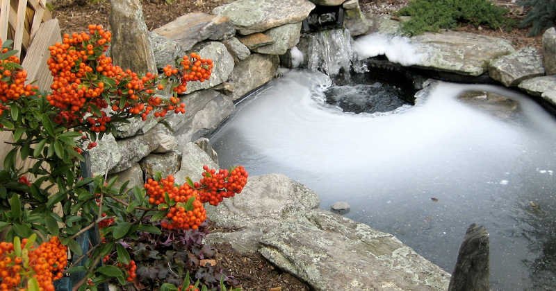 Best Rated Pond De Icer Heater In, Outdoor Pond Heater