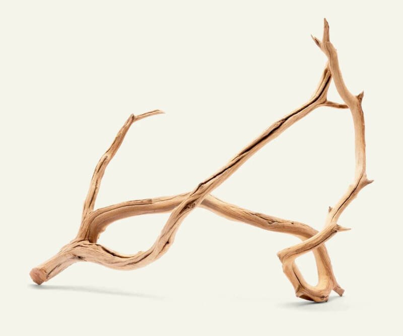 Manzanita wood branch