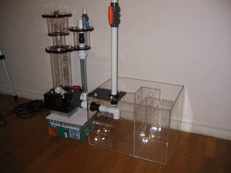 protein skimmer setup in a sump
