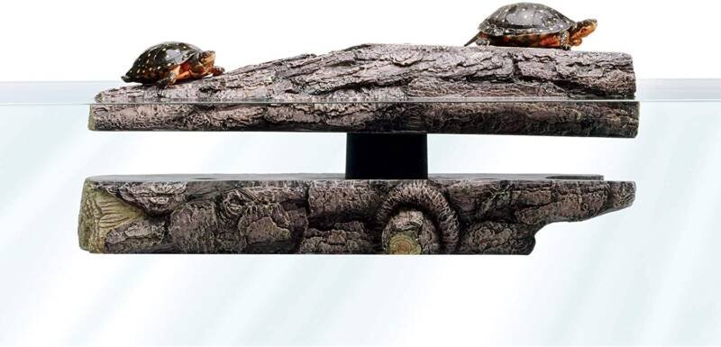 A floating log as a basking area for aquatic turtles