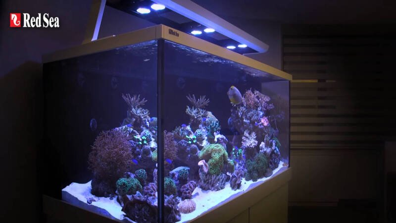 Red Sea Max S-Series LED Sistema de arrecife completo
