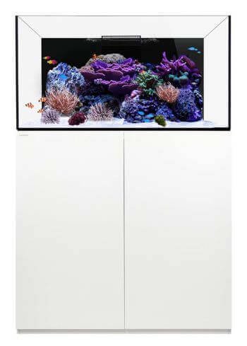 Reef 100.3 Waterbox Aquariums - 100 gallons