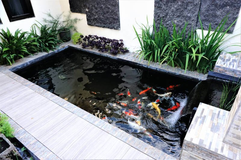 Minimalist koi fish pond from top view, suitable for the backyard of the house