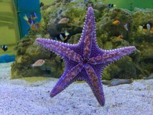 Die besten Auswahlmöglichkeiten - Entdecken Sie die Wavemaker aquarium Ihren Wünschen entsprechend
