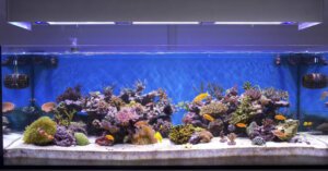 Proper Floor Support for Large Aquariums • Fish Tank Advisor