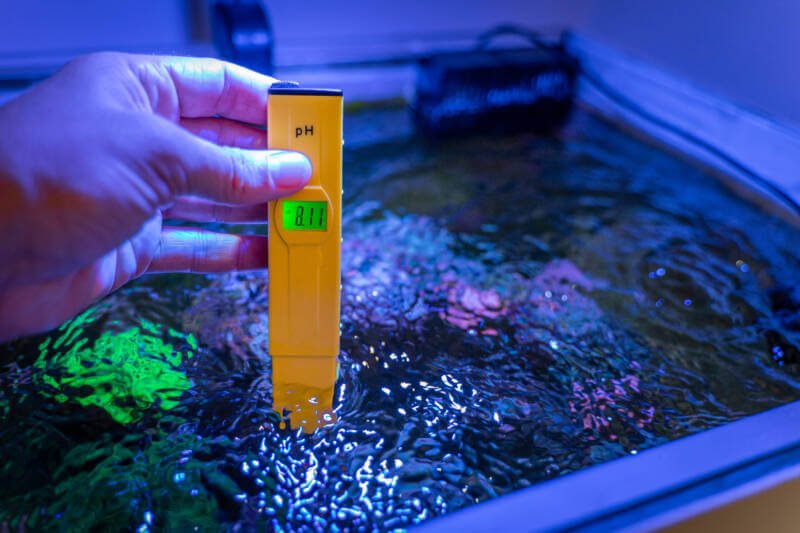 PH checking in a marine aquarium with an electronic Ph meter