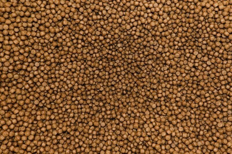 Close up of medium-sized pellets