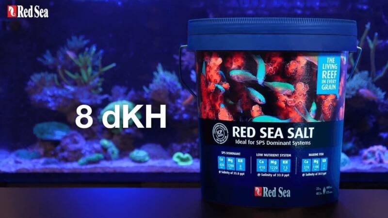 Red sea salt