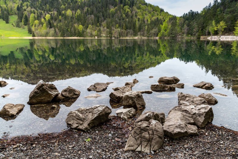 Landscape of the forest lake Alatsee in Bavaria with a large stones from ice age in the foreground