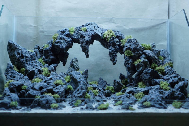 Volcanic stone landscape arrangement in an aquarium