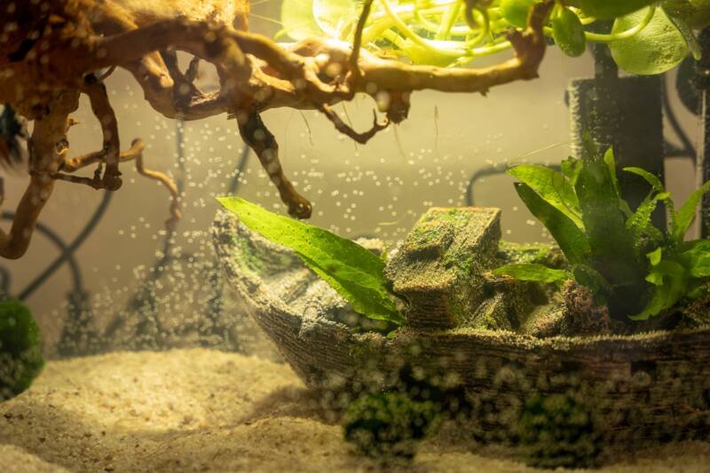 Clean aquarium water with a boat, driftwood and many oxygen bubbles 