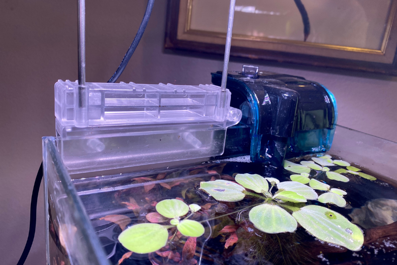 The Penn-Plax Cascade aquarium plant light is 5 inches long, taking up a lot of space on a nano tank
