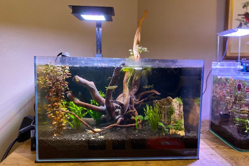 Fluval Nano LED Light Over Planted 10 gallon Tank fulling illuminates down to the substrate with a sleek modern design